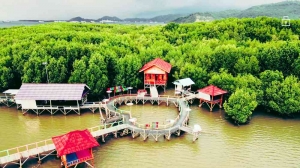 Ekowisata Hutan Mangrove Sekotong Tengah  Pesona Hijau Lombok Barat