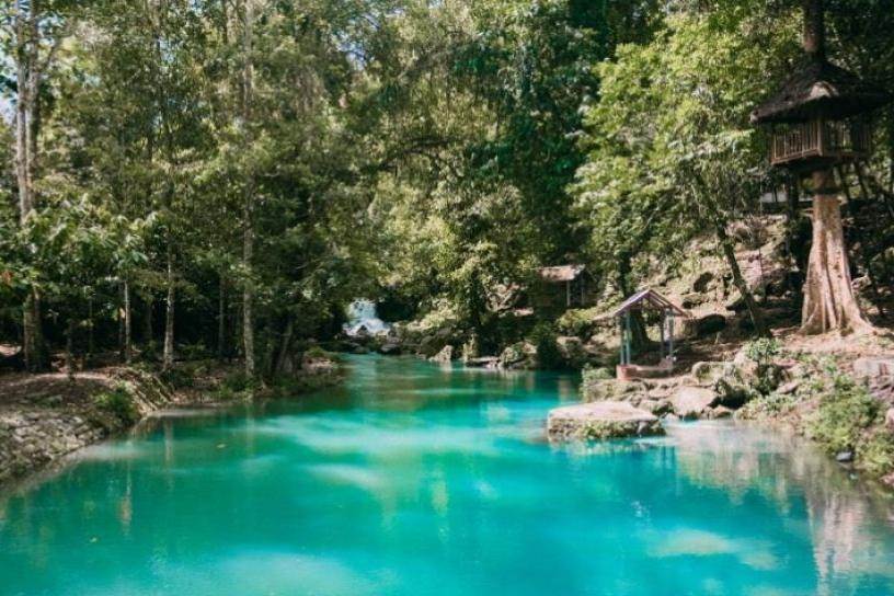 Wisata Alam Aik Nyet: Pesona Air Dingin di Hutan Lindung Sesaot
