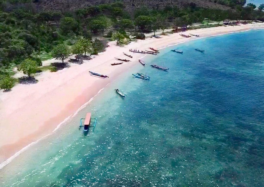 Pantai Pink Lombok Timur: Harmoni Laut Biru dan Pasir Merona